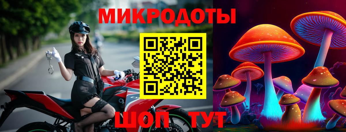 Псилоцибиновые грибы Psilocybine cubensis Свободный