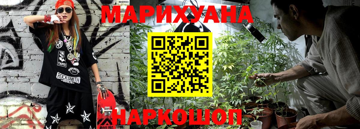 Каннабис сатива  Вход с VPN  Бошки марихуана план  Марихуана Bruce Banner  Свободный 
